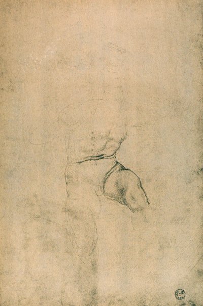 Male Nude, Study by Michelangelo Buonarroti